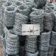 Barbed Wire / Razor Barbed Wire (fabricante especializado)